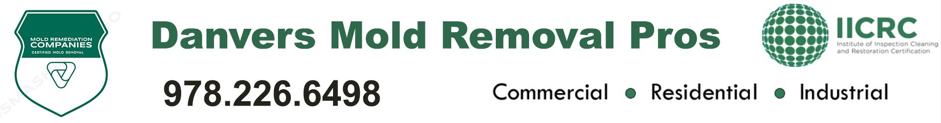 Danvers Mold Removal Pros